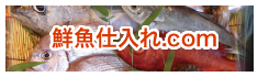鮮魚仕入れ.com
